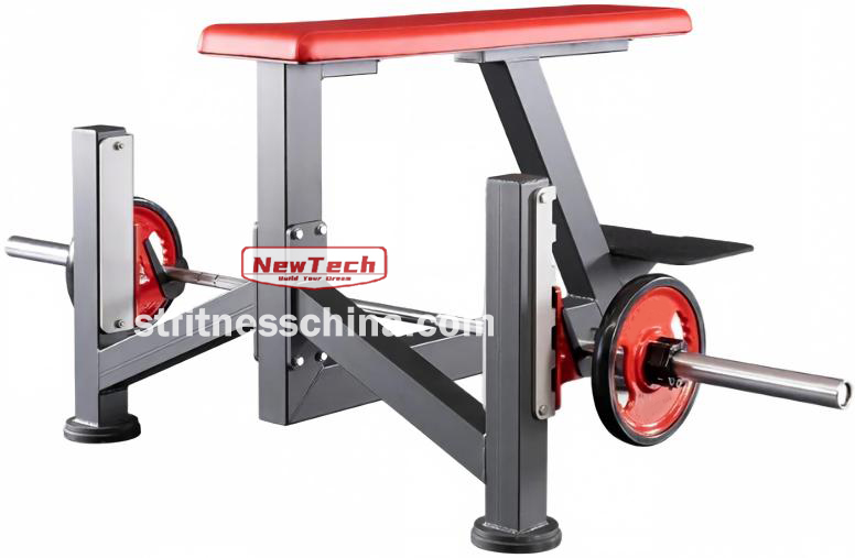NT-PN 101 Seal Row Bench - PN - stfitnesschina.com