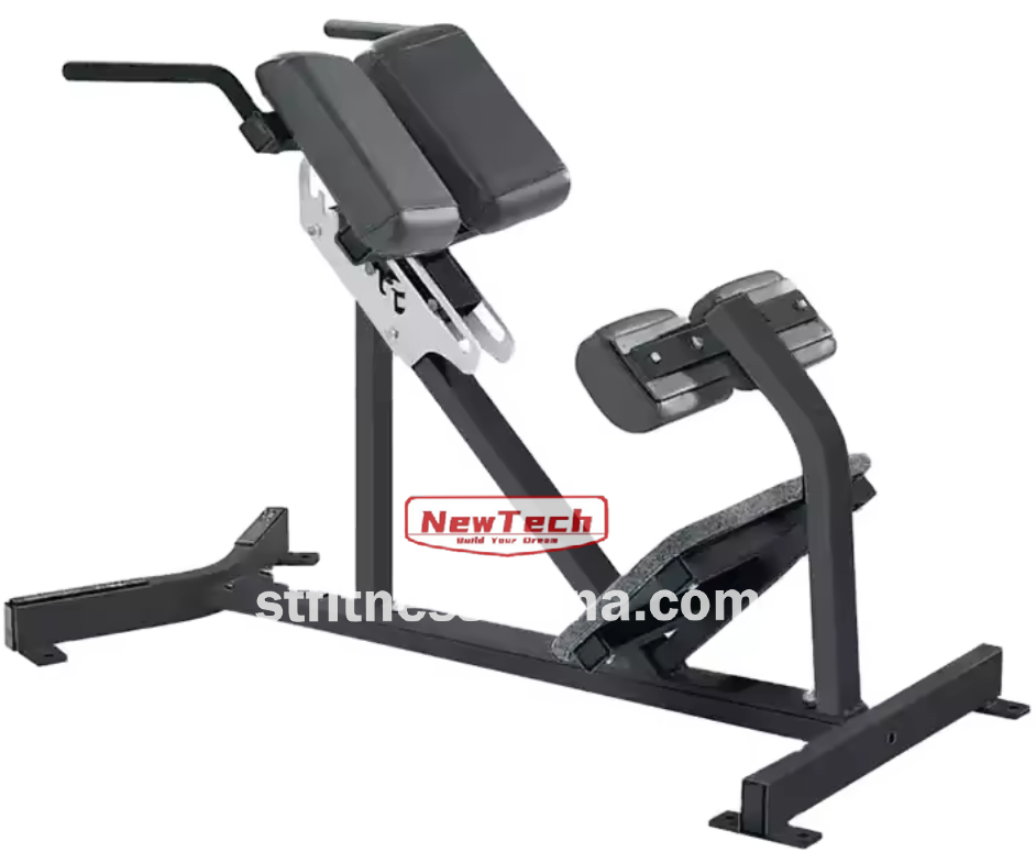 ST-HR 14 Back Extension - HR - stfitnesschina.com