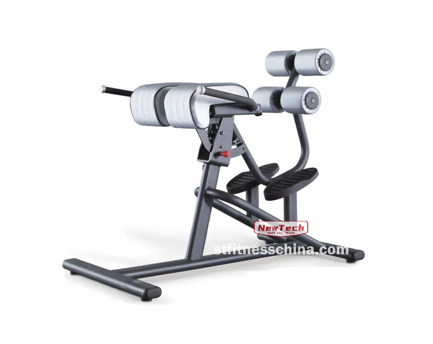 NT-PT 15 Adjustable Back Extension - PT - stfitnesschina.com