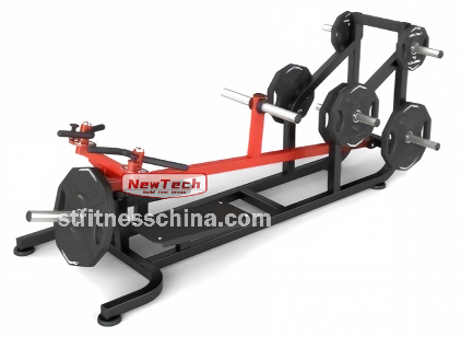 NT-NT 25 T-Bar Row - NT - stfitnesschina.com