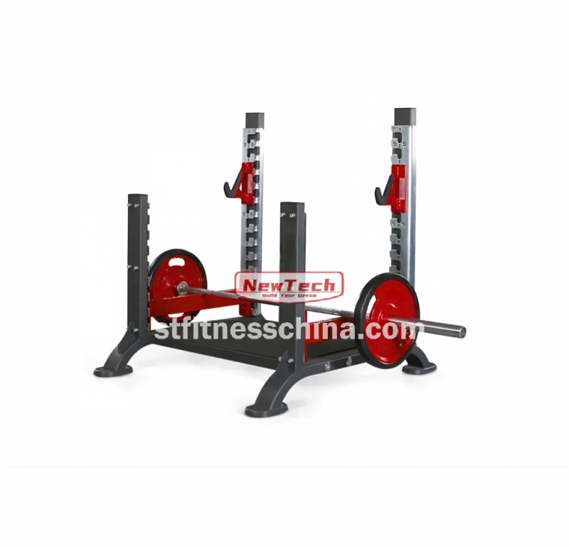 NT-PN 21 Power Platform - PN - stfitnesschina.com